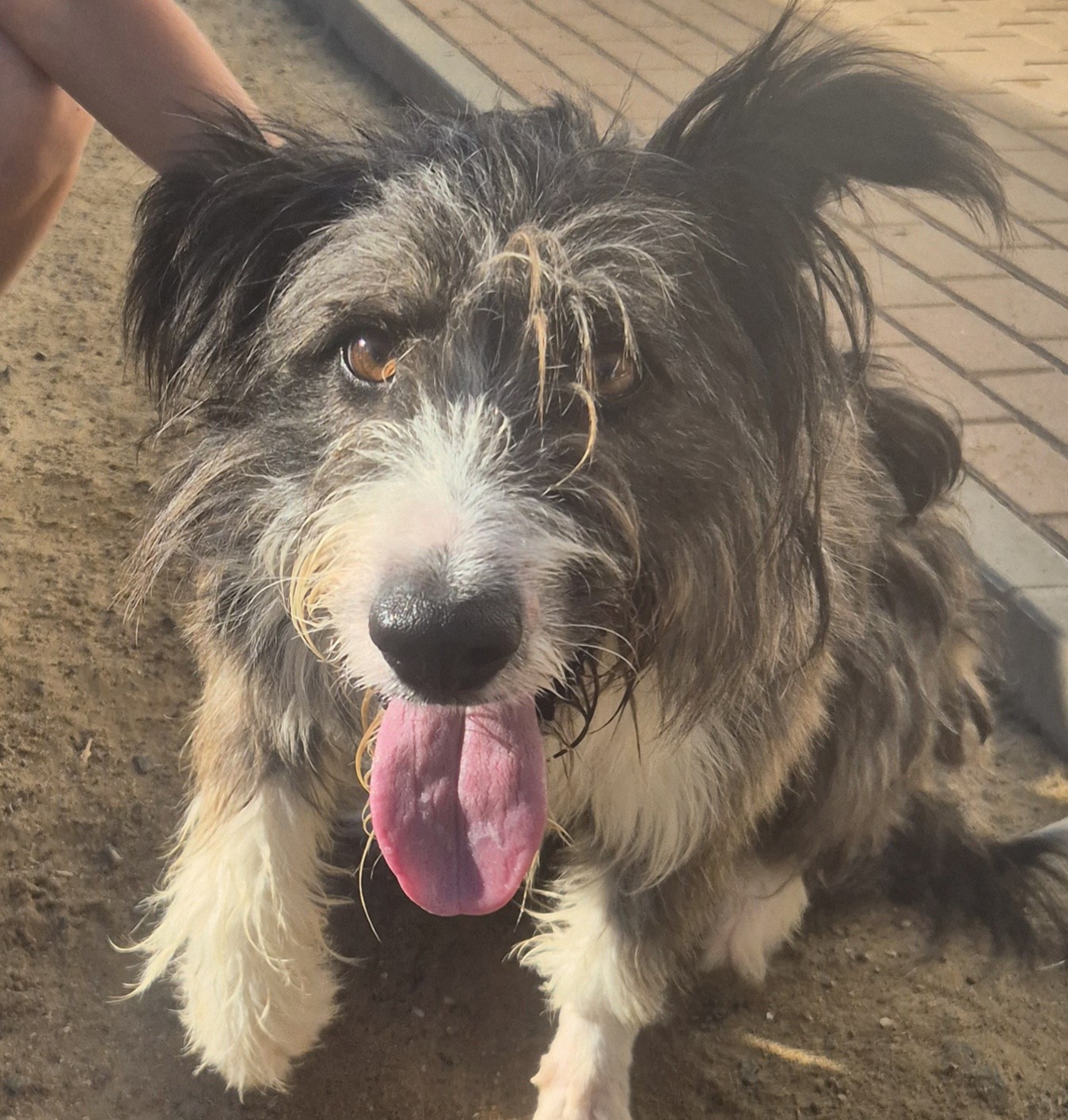 Oskar